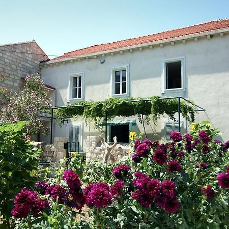Guest House Katica 자톤 외부 사진