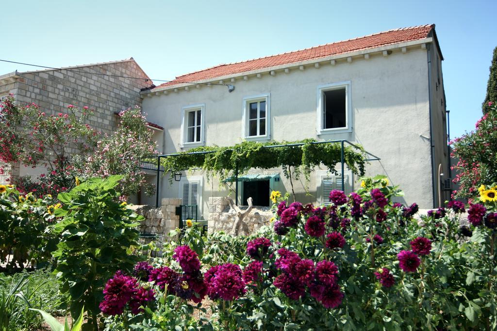 Guest House Katica 자톤 외부 사진